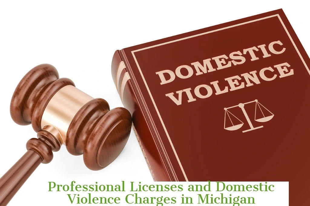 Wooden gavel next to a book titled Domestic Violence with text about professional licenses and domestic violence charges.